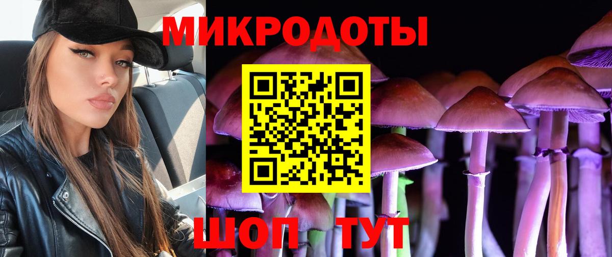 Галлюциногенные грибы мухоморы Темрюк