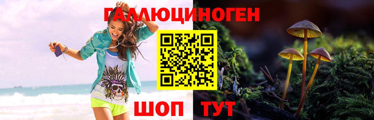 Псилоцибиновые грибы Psilocybine cubensis  Псилоцибиновые грибы мицелий  Темрюк  Вход с VPN 